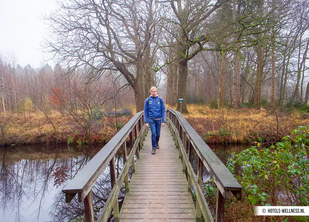 Wandelen omgeving Oranjewoud